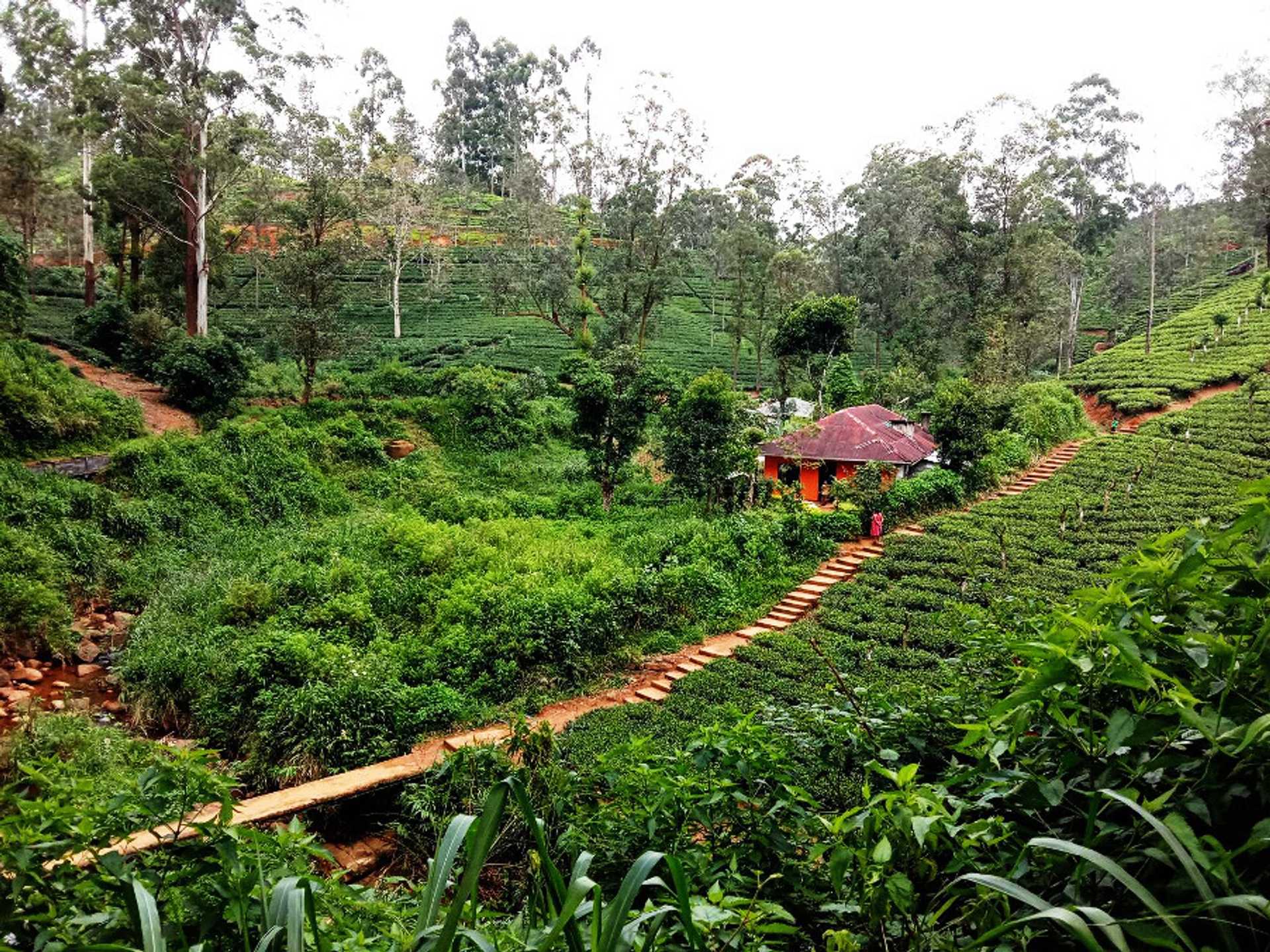 Loolkandura ⇌ Tawalantenne