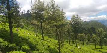 Loolkandura ⇌ Tawalantenne