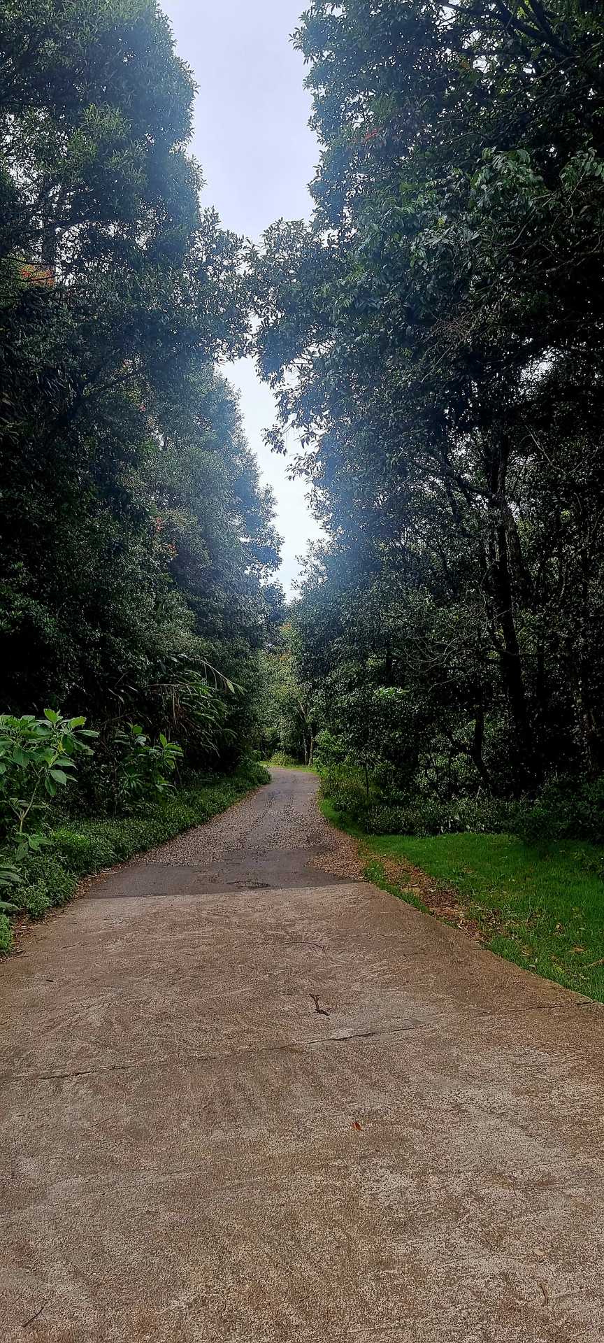 Lunuwatte  ⇌ Uda Pussellawa