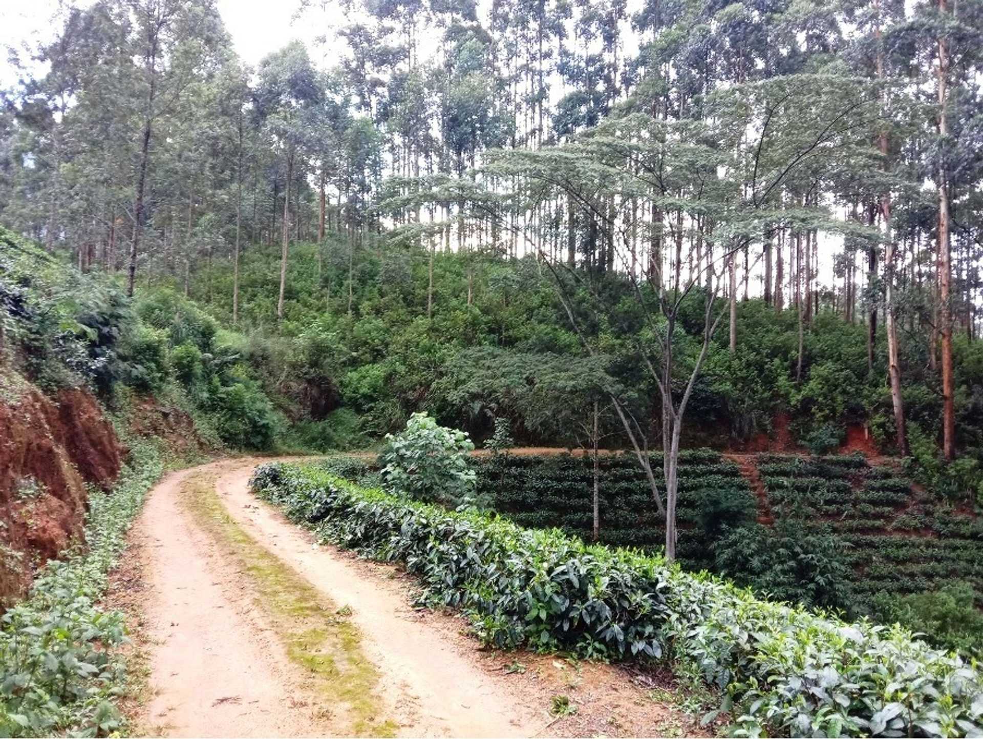 Loolkandura ⇌ Tawalantenne