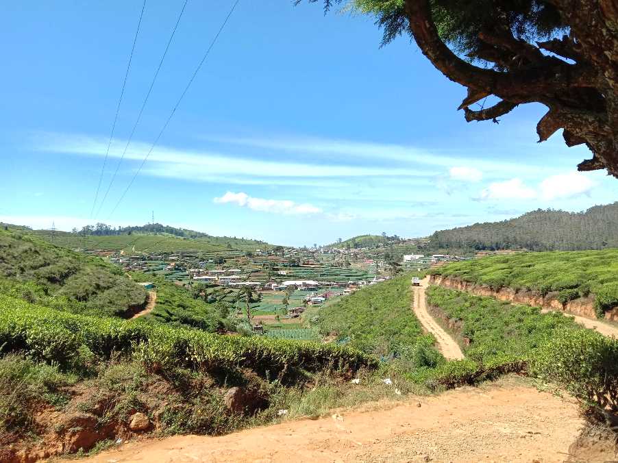 Kandapola ⇌ Pedro Estate