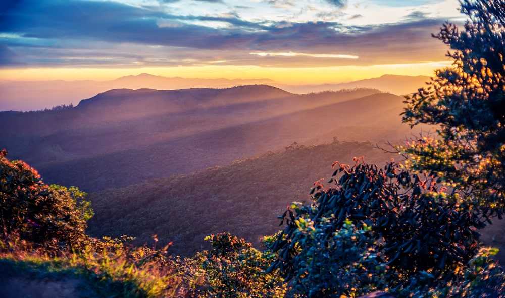 Dayagama  ⇌ Horton Plains