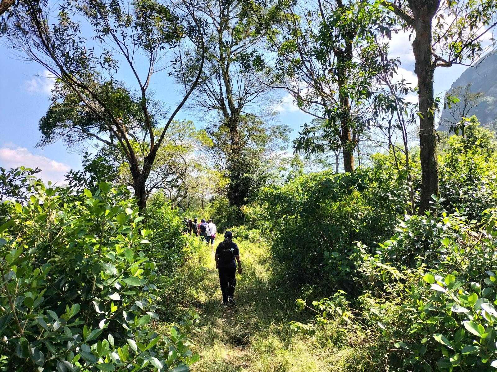 Hantana ⇌ Galaha