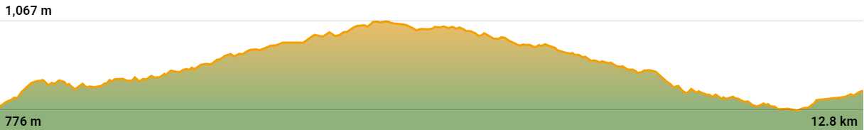 Stage 1 elevation profile