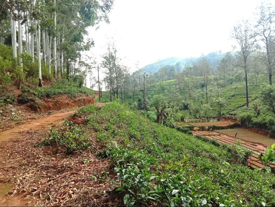Uda Pussellawa ⇌ Kandapola