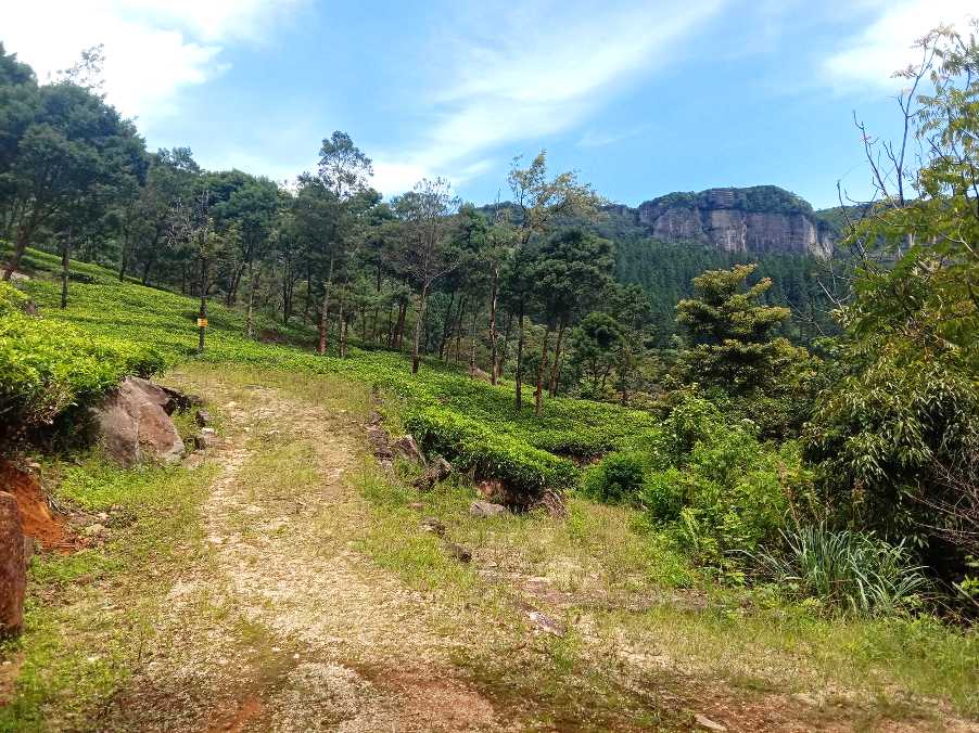 Loolkandura ⇌ Tawalantenne