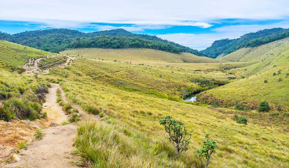 Dayagama  ⇌ Horton Plains
