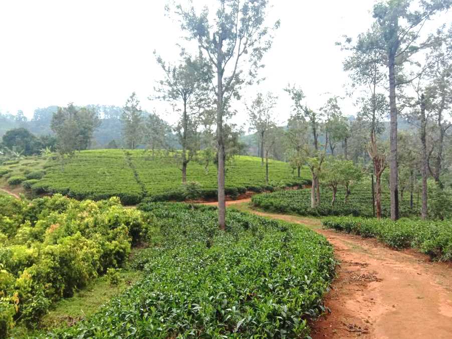 Uda Pussellawa ⇌ Kandapola