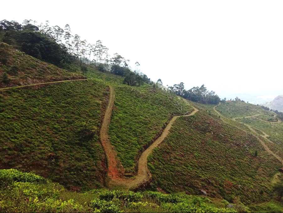Horton Plains ⇌ Udaweriya