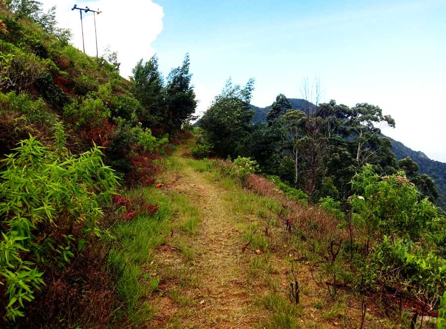 Udaweriya  ⇌ Haputale