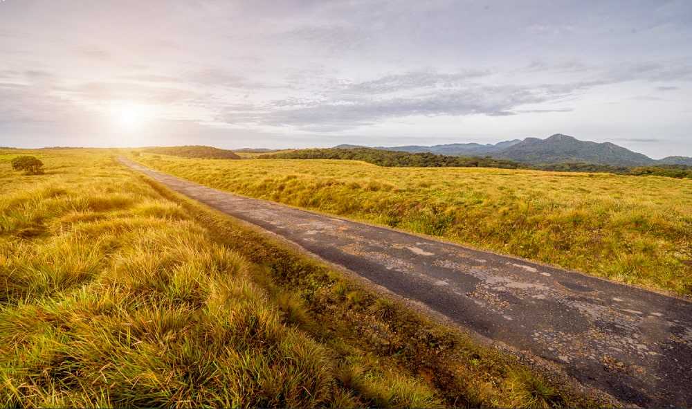 Dayagama  ⇌ Horton Plains