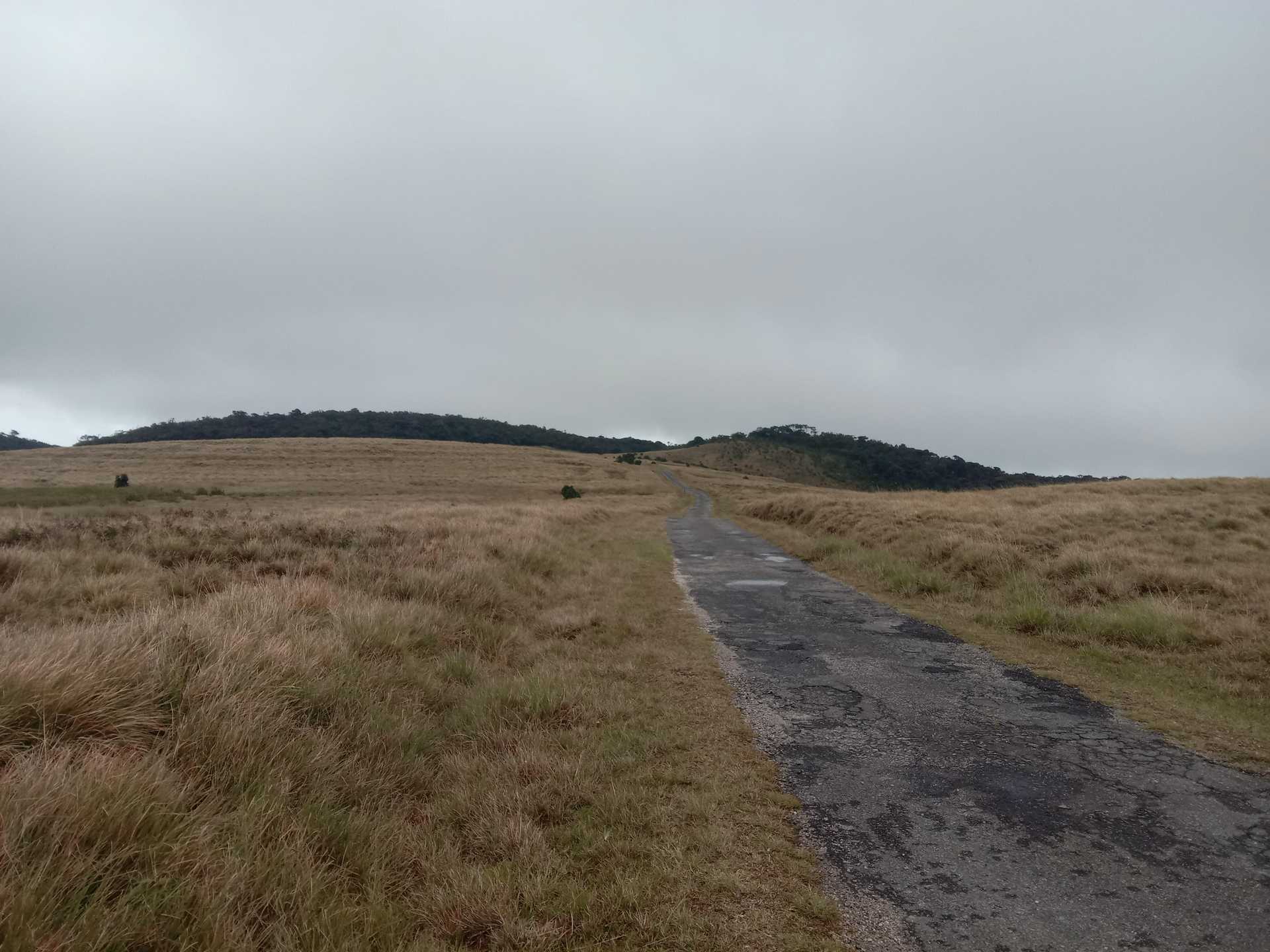 Horton Plains ⇌ Udaweriya