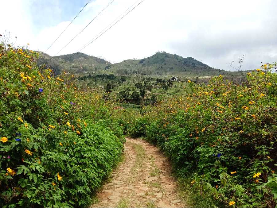Horton Plains ⇌ Udaweriya