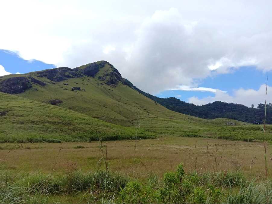 Bogawantalawa  ⇌ Dayagama