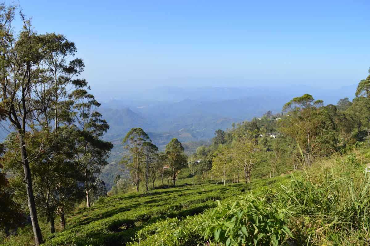 Loolkandura ⇌ Tawalantenne