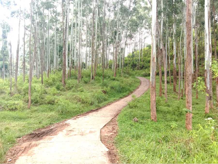 Uda Pussellawa ⇌ Kandapola