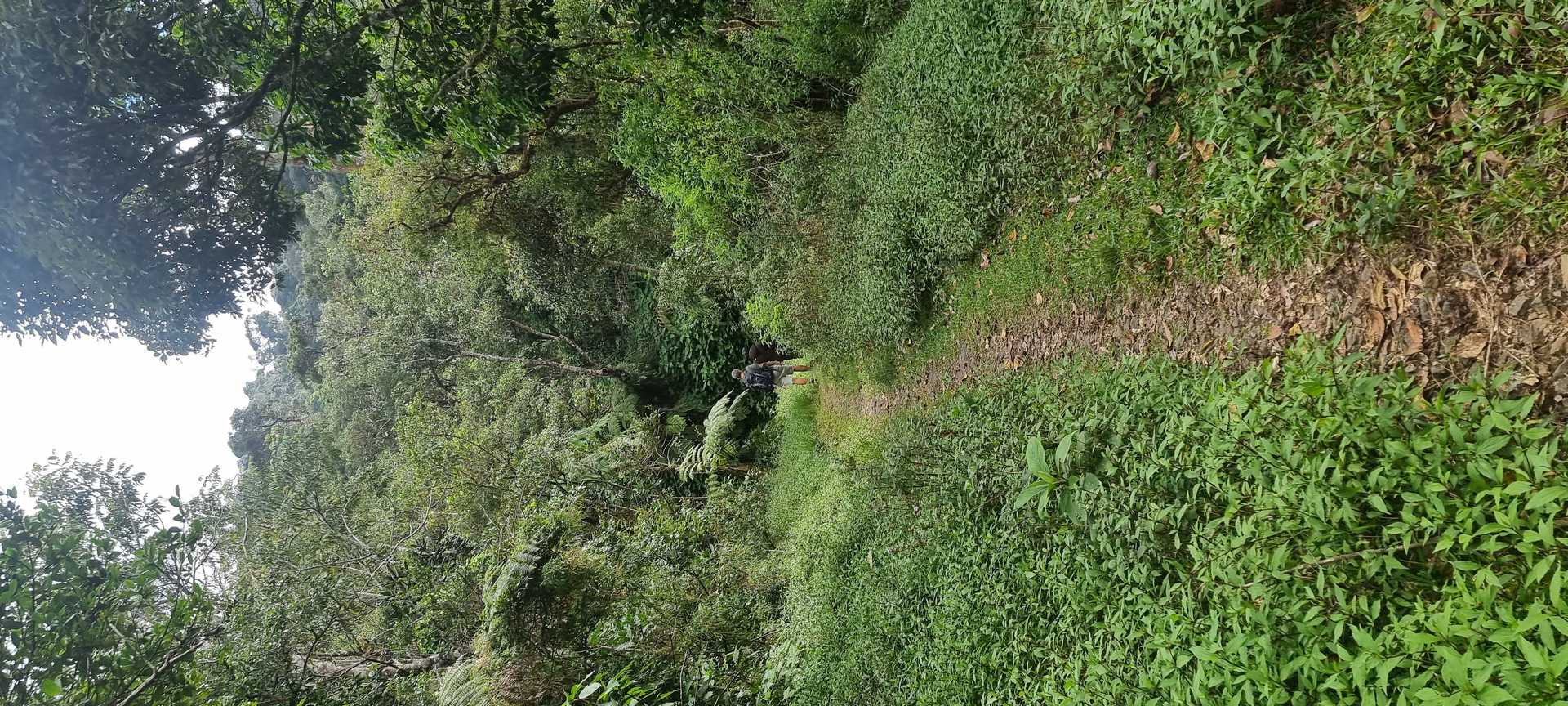 Dayagama  ⇌ Horton Plains