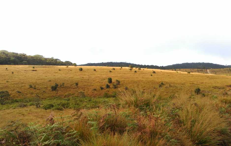 Horton Plains ⇌ Udaweriya