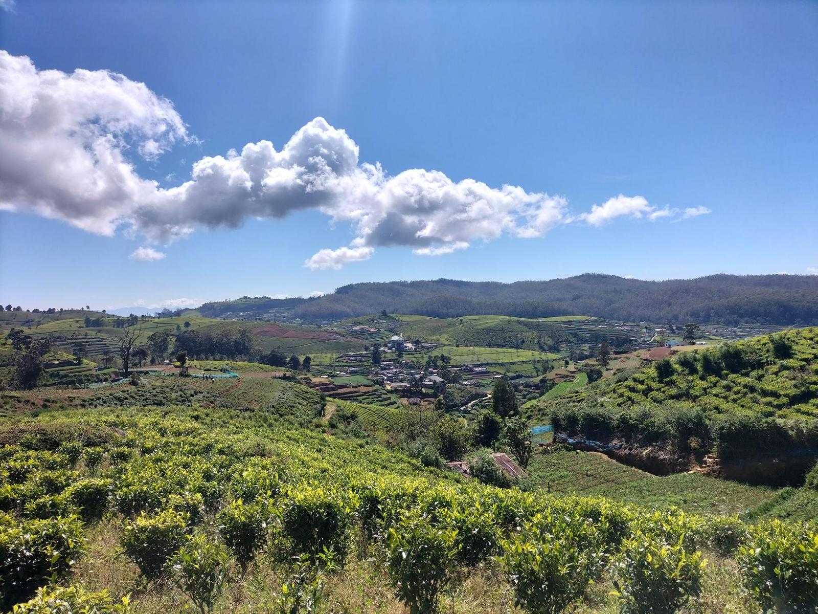 Kandapola ⇌ Pedro Estate